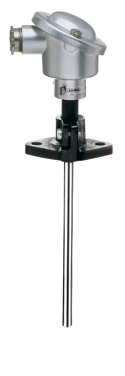 With terminal head form B Push-in RTD temperature probe