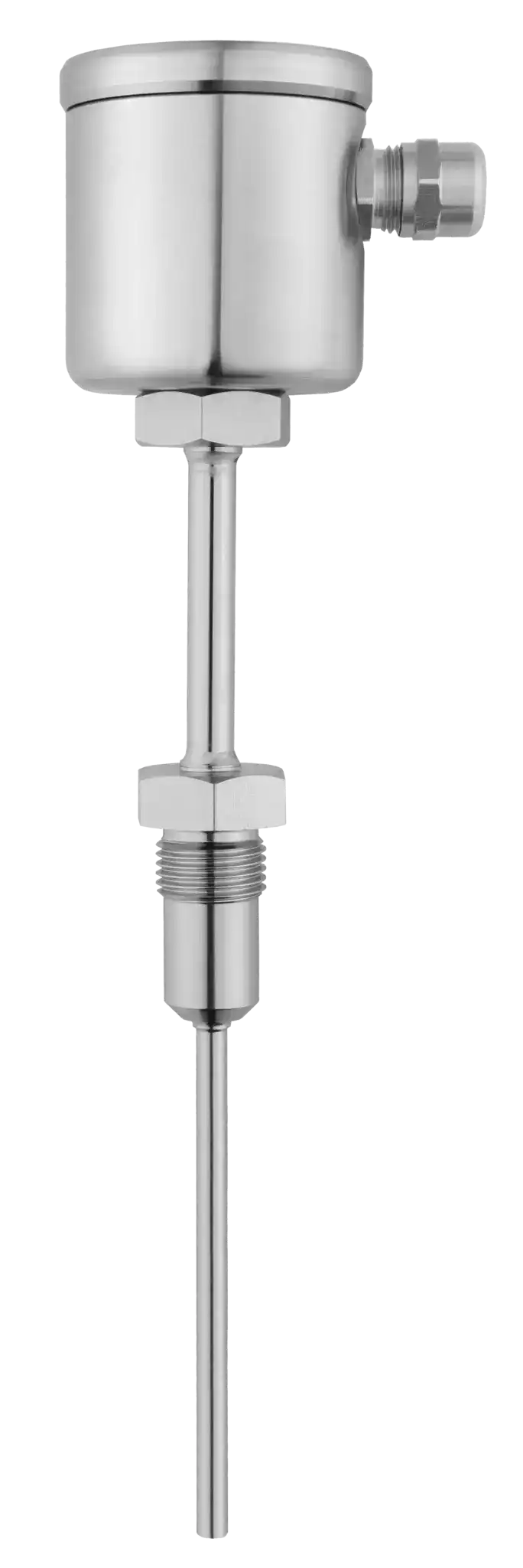 RTD temperature probe